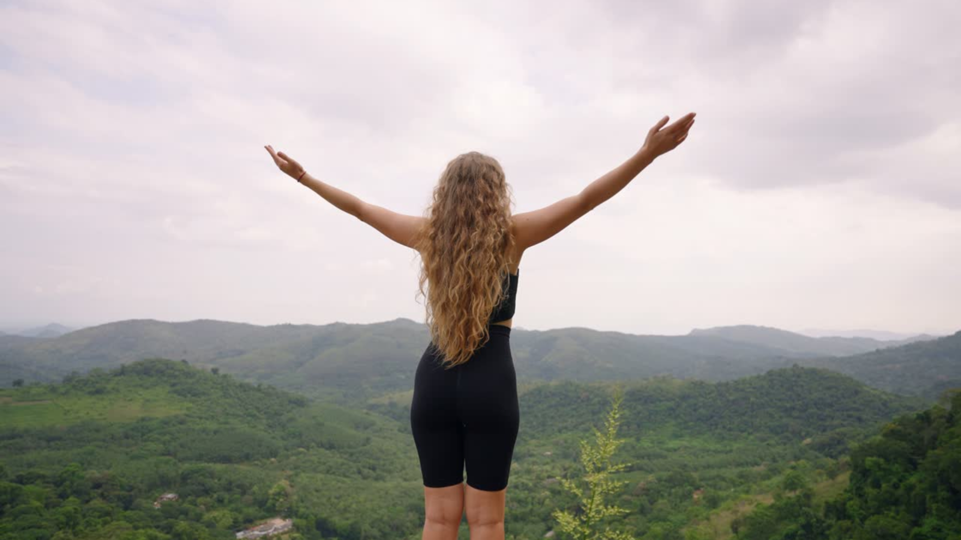 LEGACIER Lĩnh vực 2